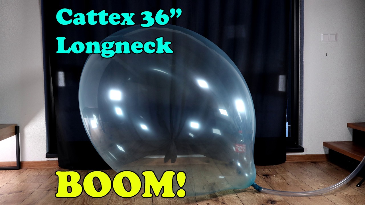 Blue balloons special 2/6 | BTP | How big can a balloon get?