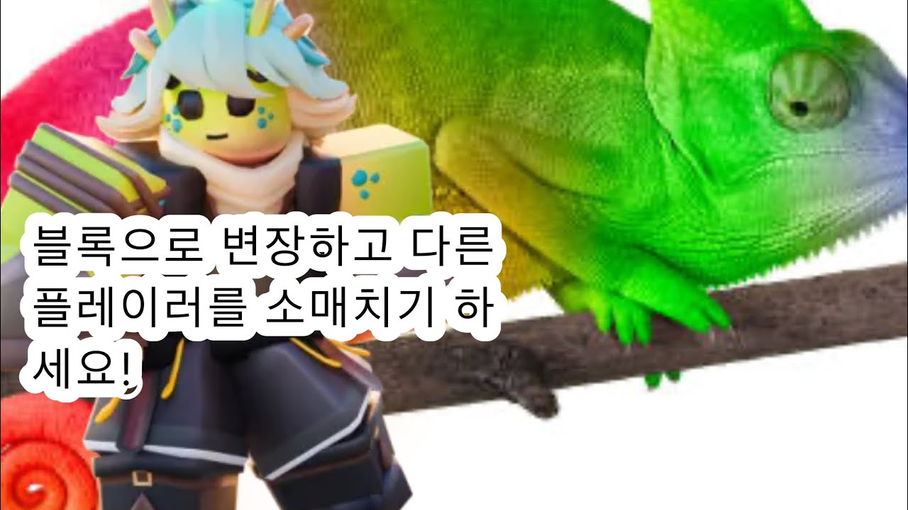 배드워즈 마일로
