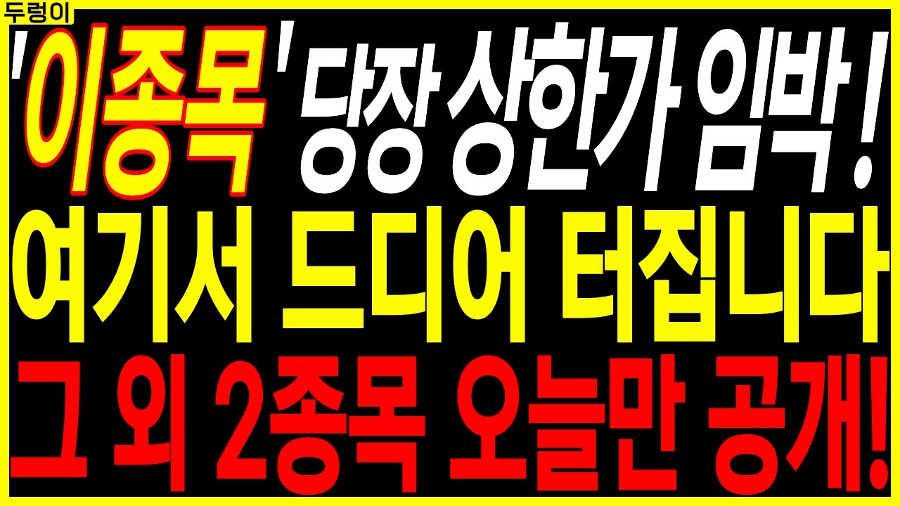 🌱급등 대장주 주가전망🌱여기서 드디어 터집니다 그 외 2종목 오늘만 공개! | 디에스경제속보 두렁이
