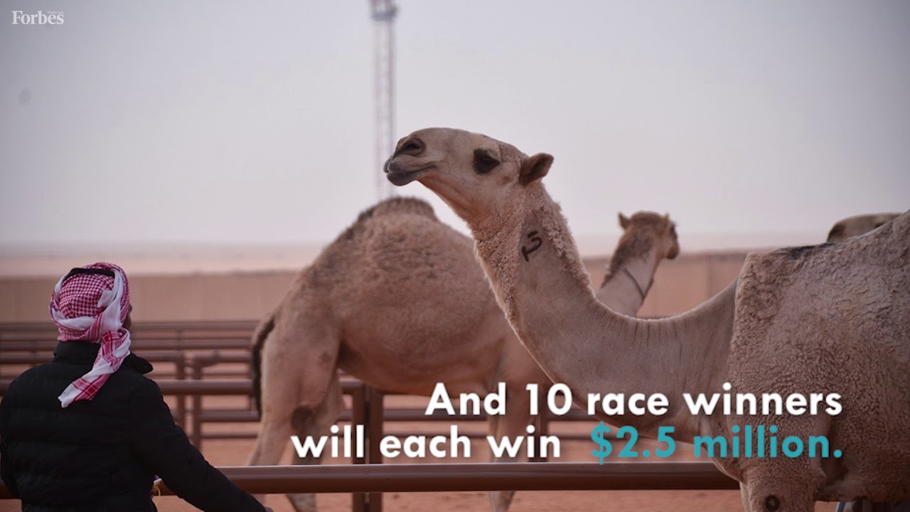 Saudi Arabia Is Crowning 