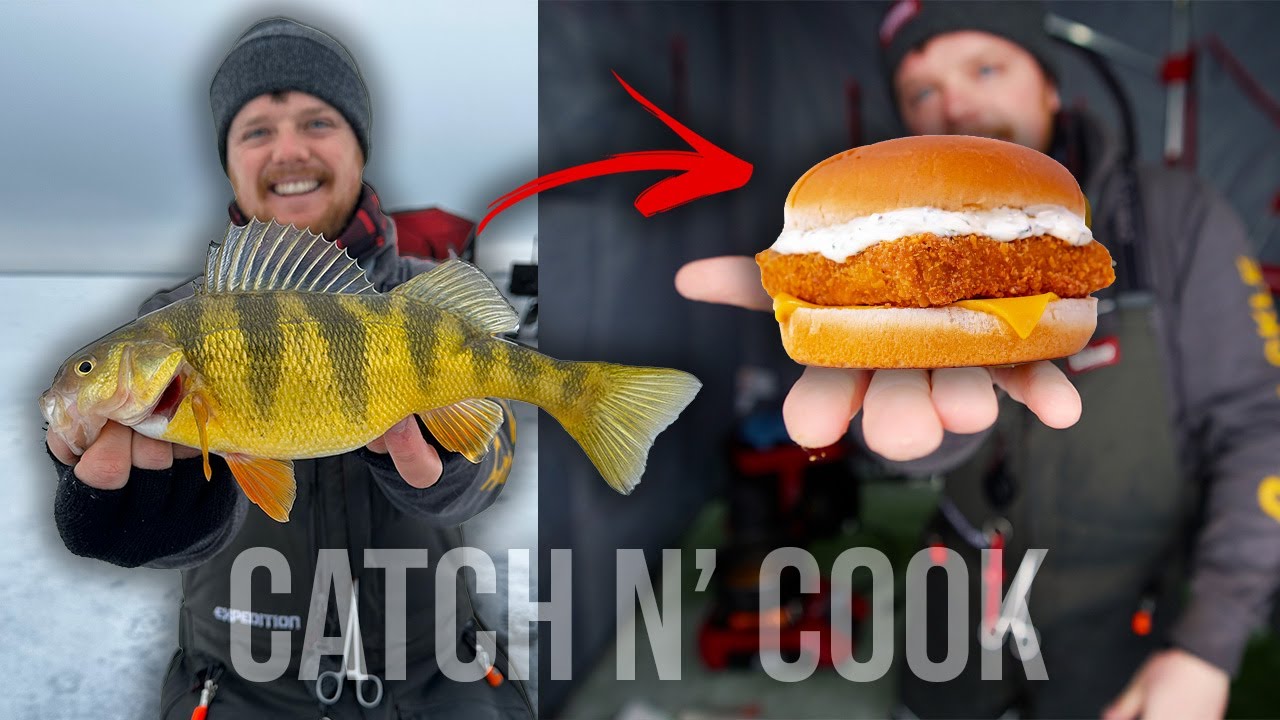 INSANE Morning Ice Fishing Jumbo Perch! Catch & Cook Filet-O-Fish Style