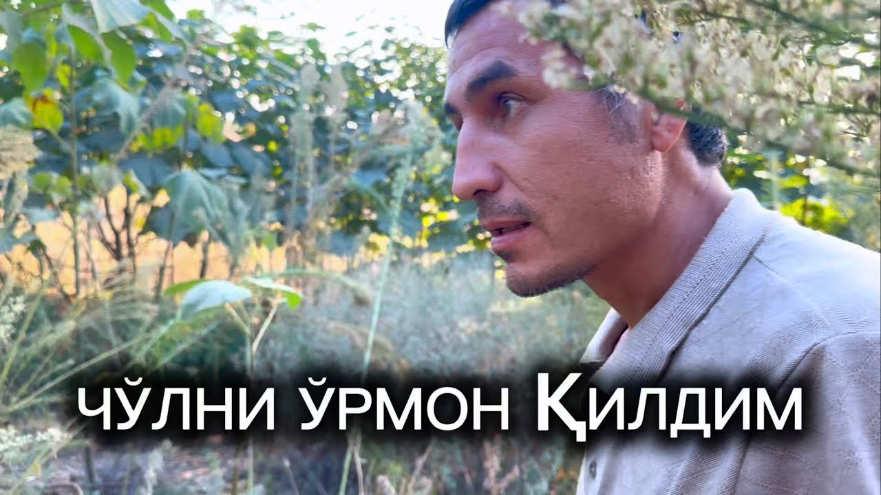 Қирларда ўрмон қилаётган оила.АСАКА ТУМАНИ