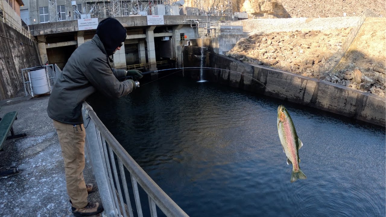 TROUT FISHING at SMITH LAKE DAM! **We Caught DINNER** {Catch Clean Cook}