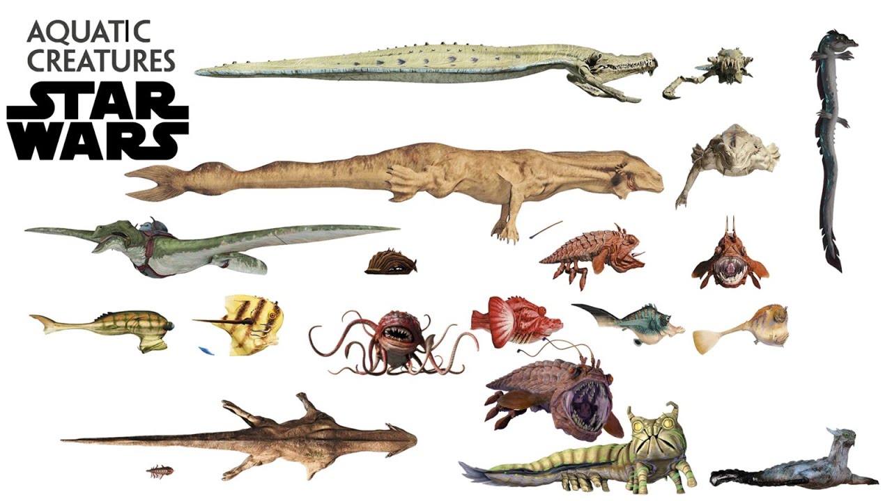 Star Wars' Largest Aquatic Monsters and Creatures Ever