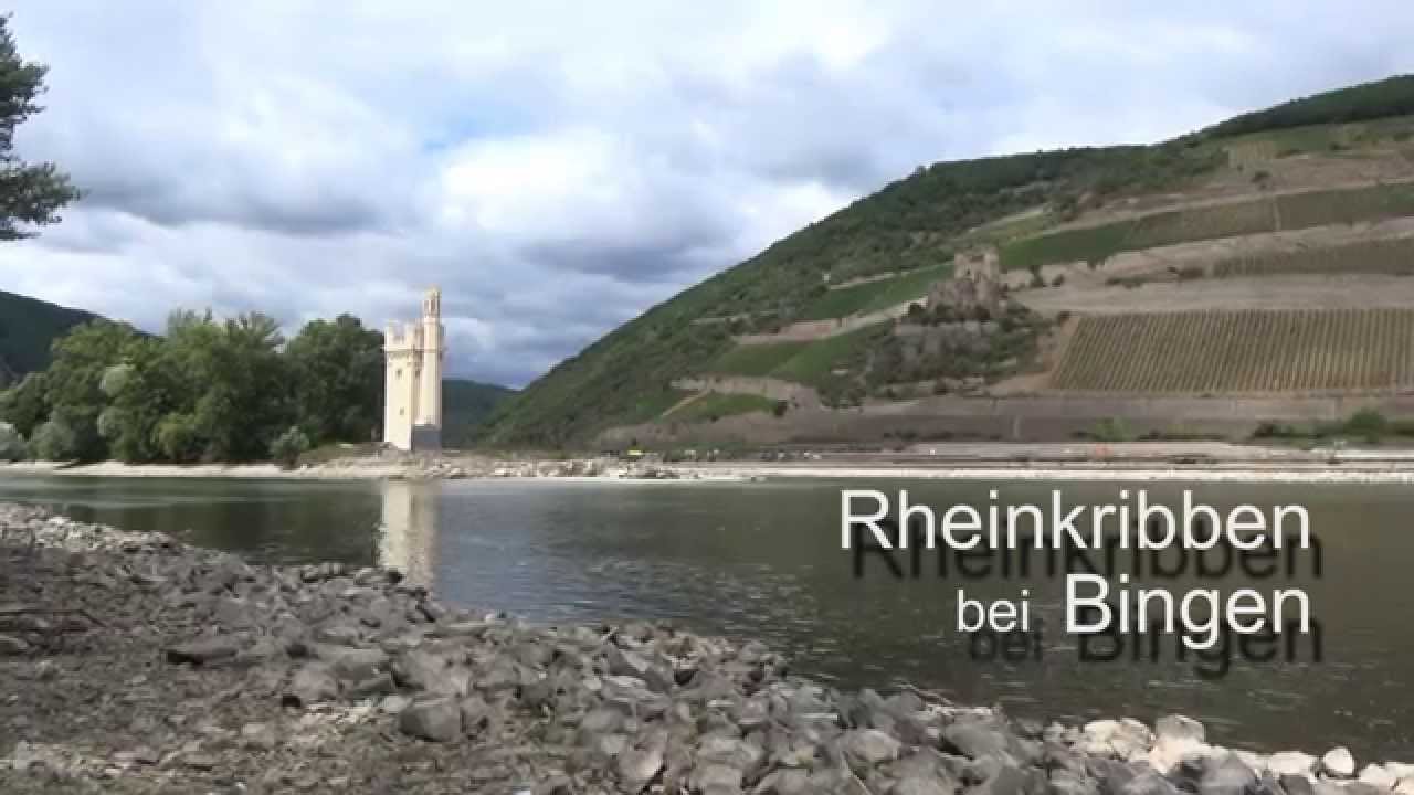 Rheinkribben Bingen - Bingerbr&uuml;ck