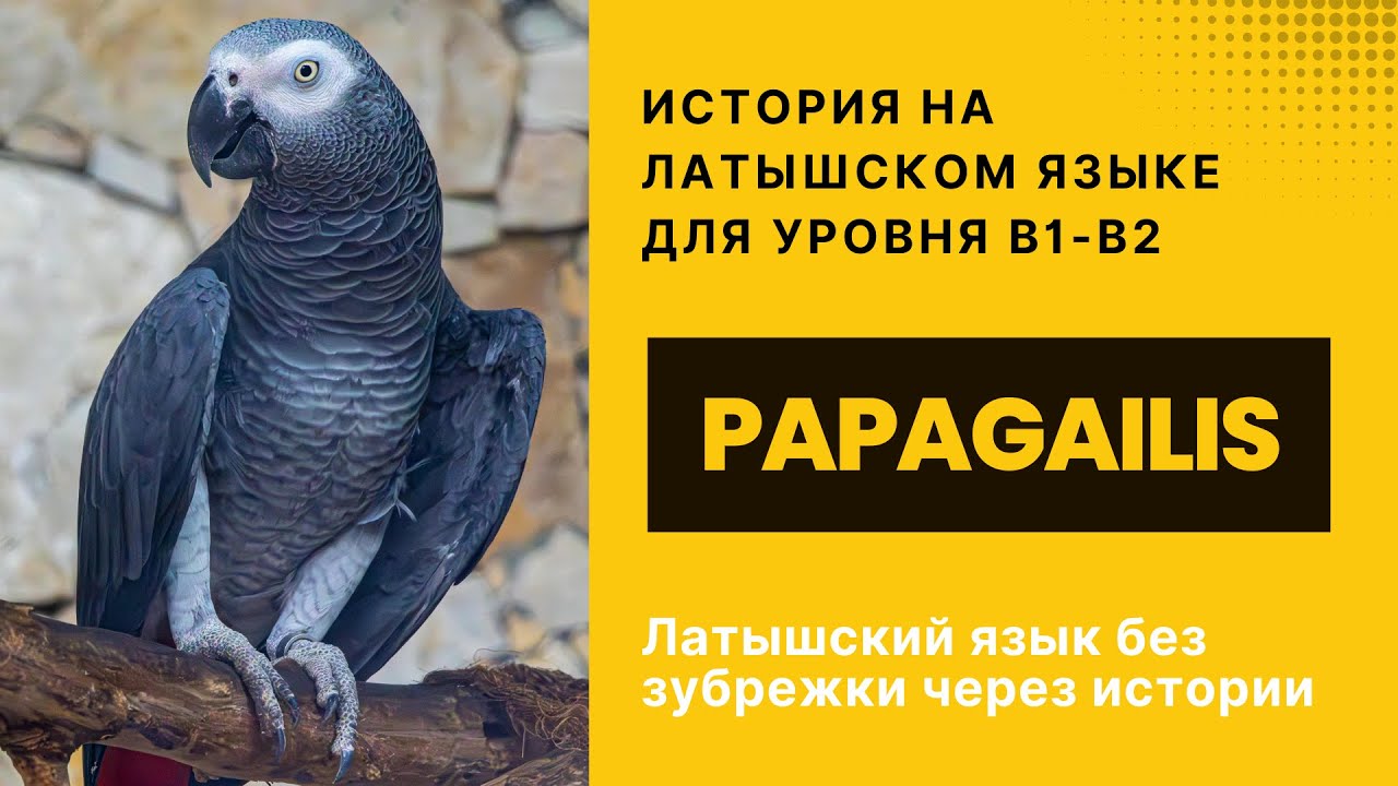 Латышский  B1-B2 | Papagailis | Учим латышский язык на слух через истории