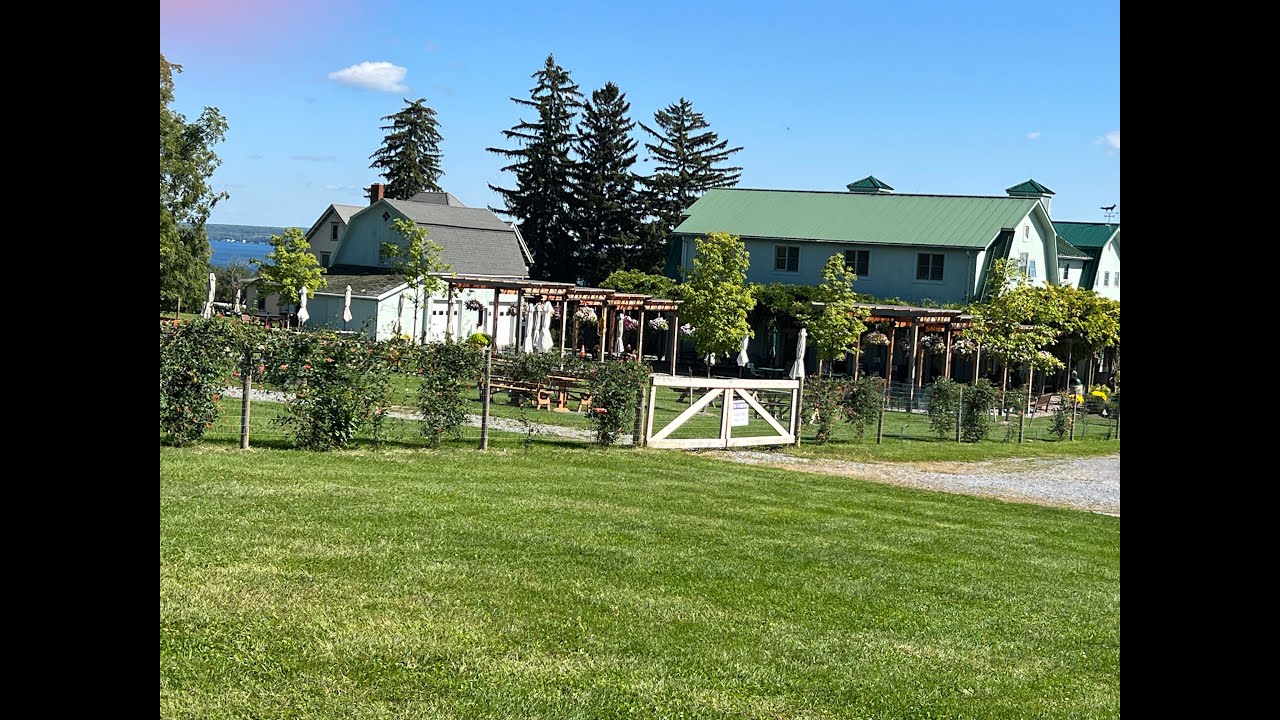 FOX RUN WINERY, CAFE and VINEYARDS, Seneca Lake, Finger Lakes, NY BONUS WINE and FOOD EXPERIENCE