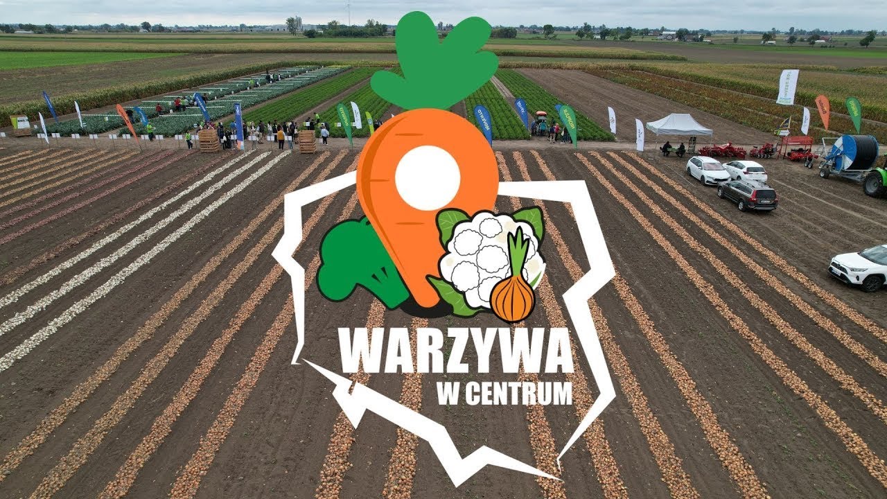 Pomidor gruntowy | Seminis 🍅 NOWOŚĆ - INCIPIT, BARRICK i  PERFECTPEEL
