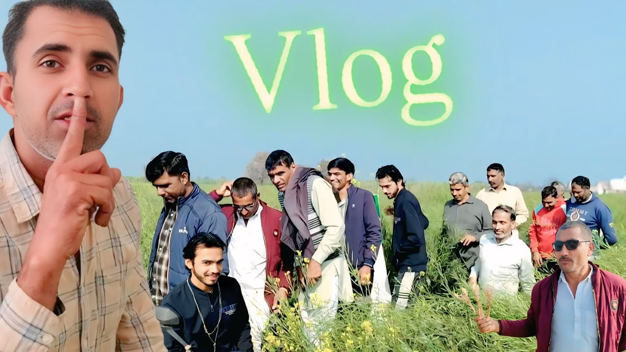 आज सरसों के बीज की कर दी मसूरी 🤗