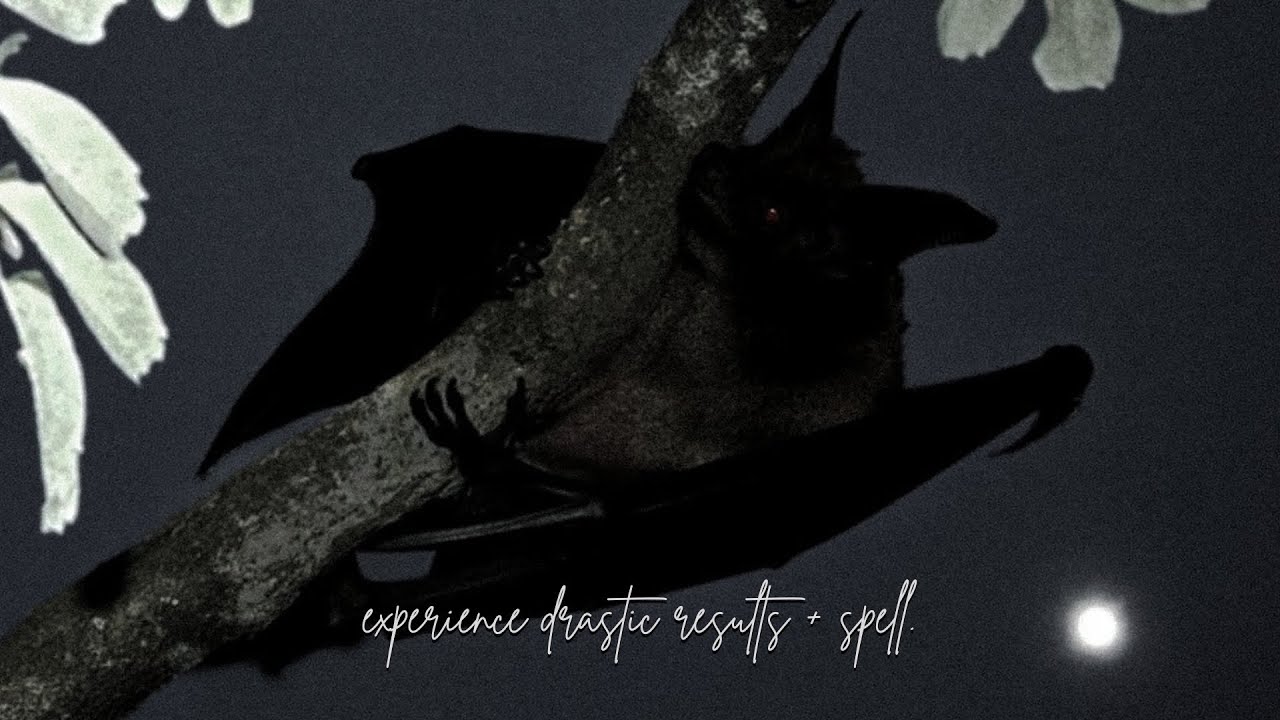 ╭ EXPERIENCE DRASTIC RESULTS + SPELL  — nighttime booster w/ black screen ╮