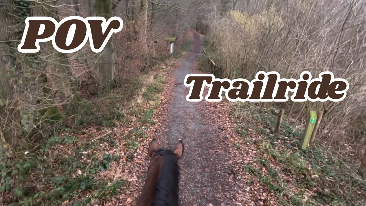 Come on a hike with us | POV | Forest | Countryside 🌿