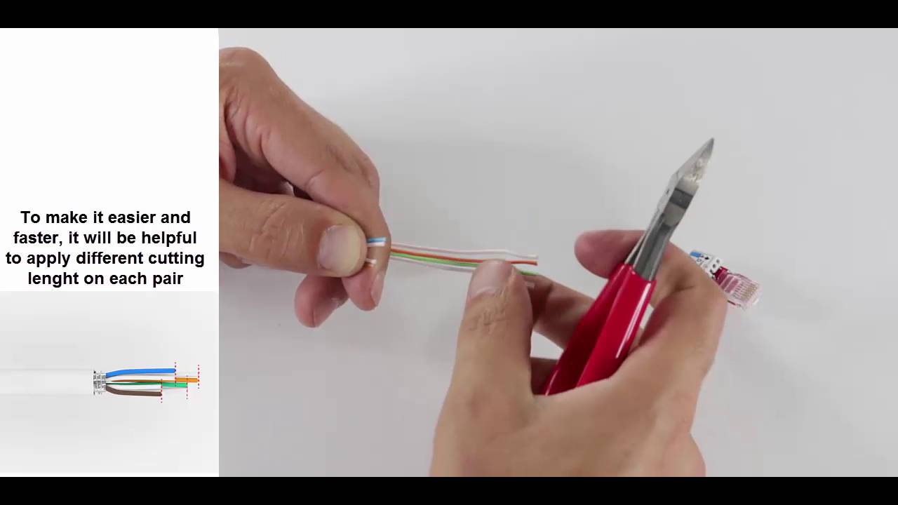 How to terminate the PLUGIT10G Field plug
