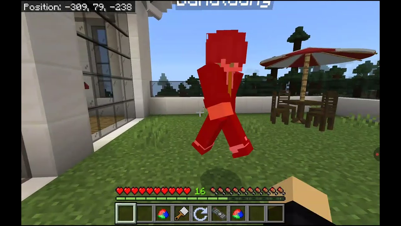  Eu am clona pe Minecraft 