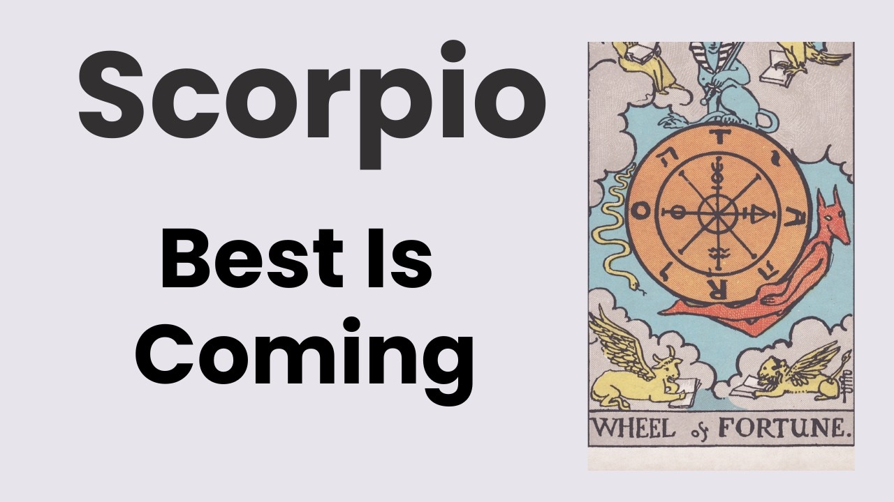 Scorpio Opportunity Is Knocking Just Open The Door! 🩷 February 2nd – 9th Weekly Tarot