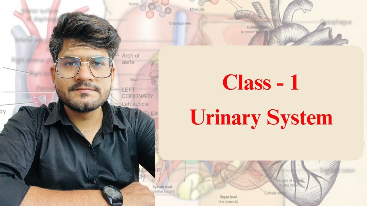 Urinary System | Class - 1 | Introduction 