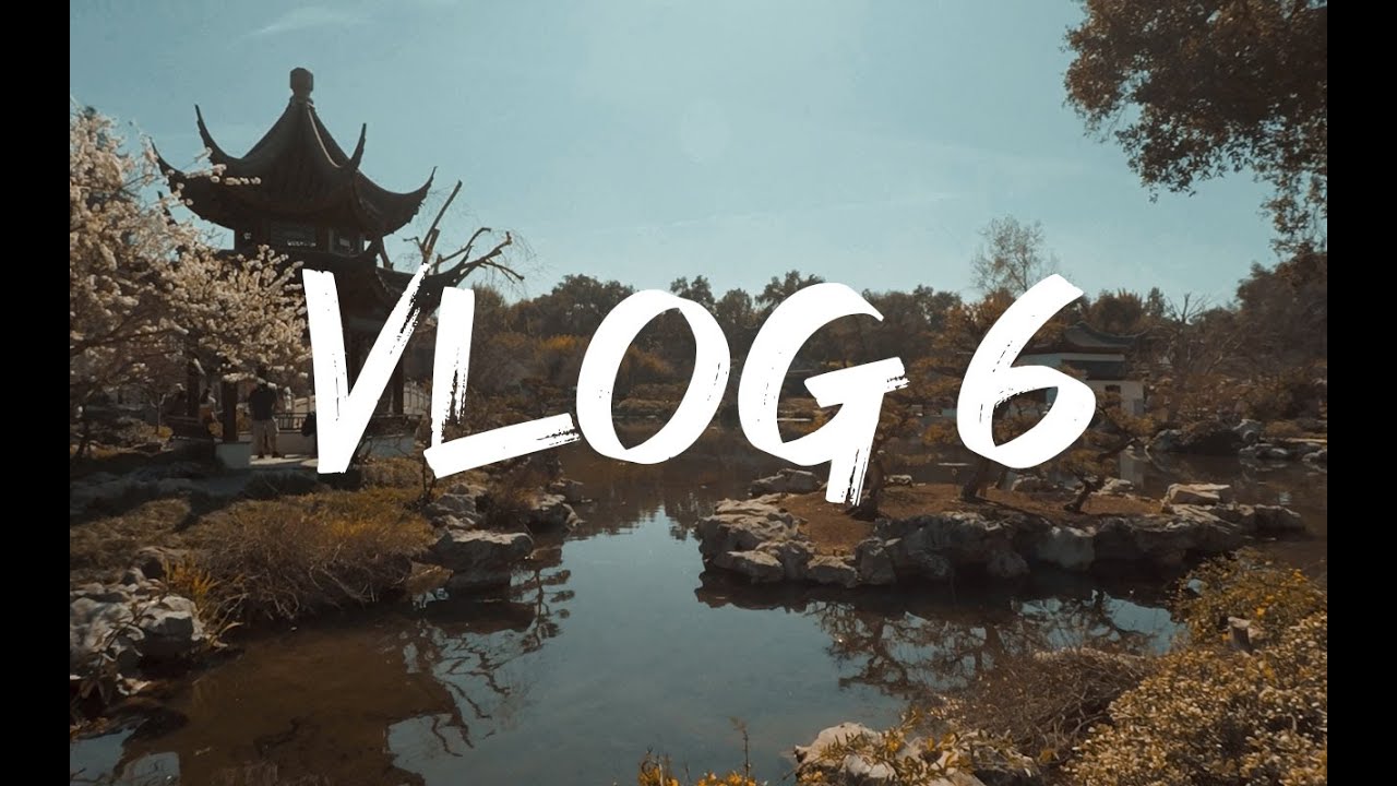 Vlog 6 - A Nice walk in Huntington Garden and More