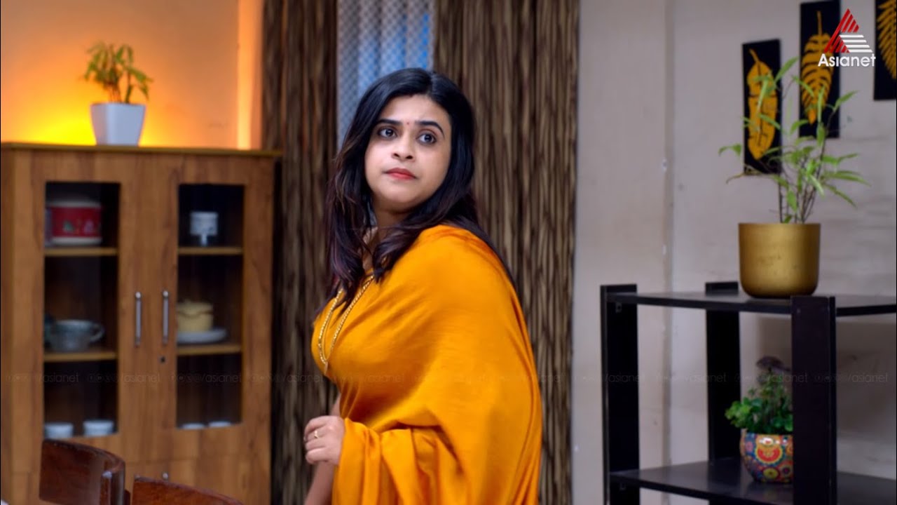 #Santhwanam2Promo മനുഷ്യ ജീവിതത്തിന്റെ കൗതുക കാഴ്ചകളുമായി സാന്ത്വനം 2