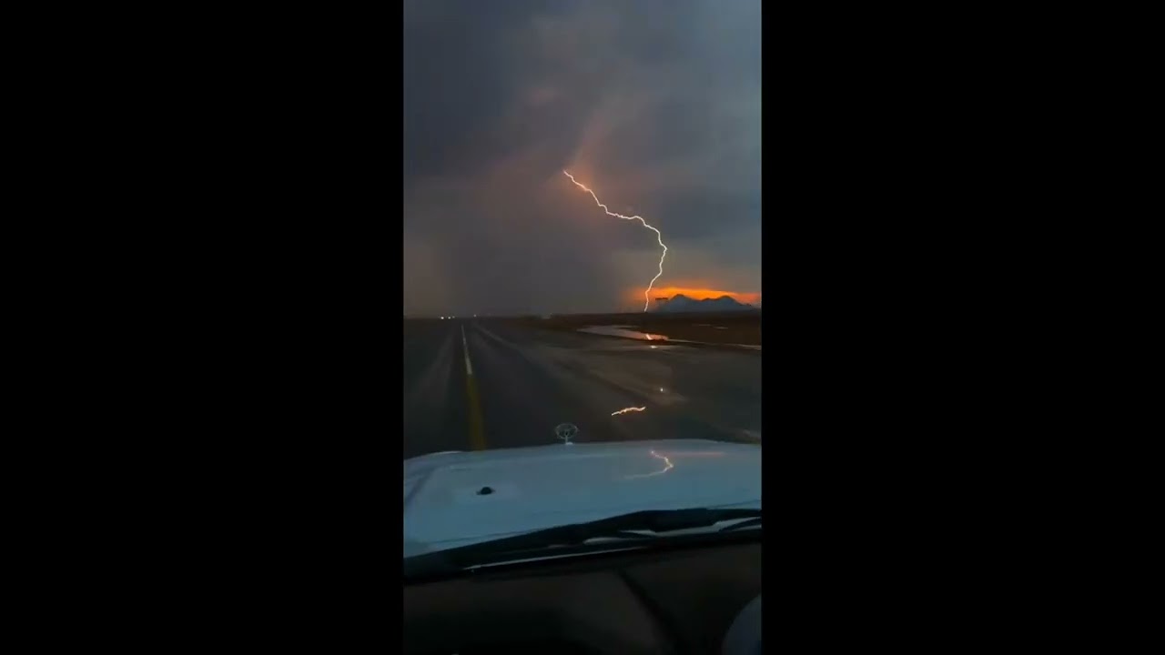 شف بالي        اداء : ابوفيصل الخالدي
