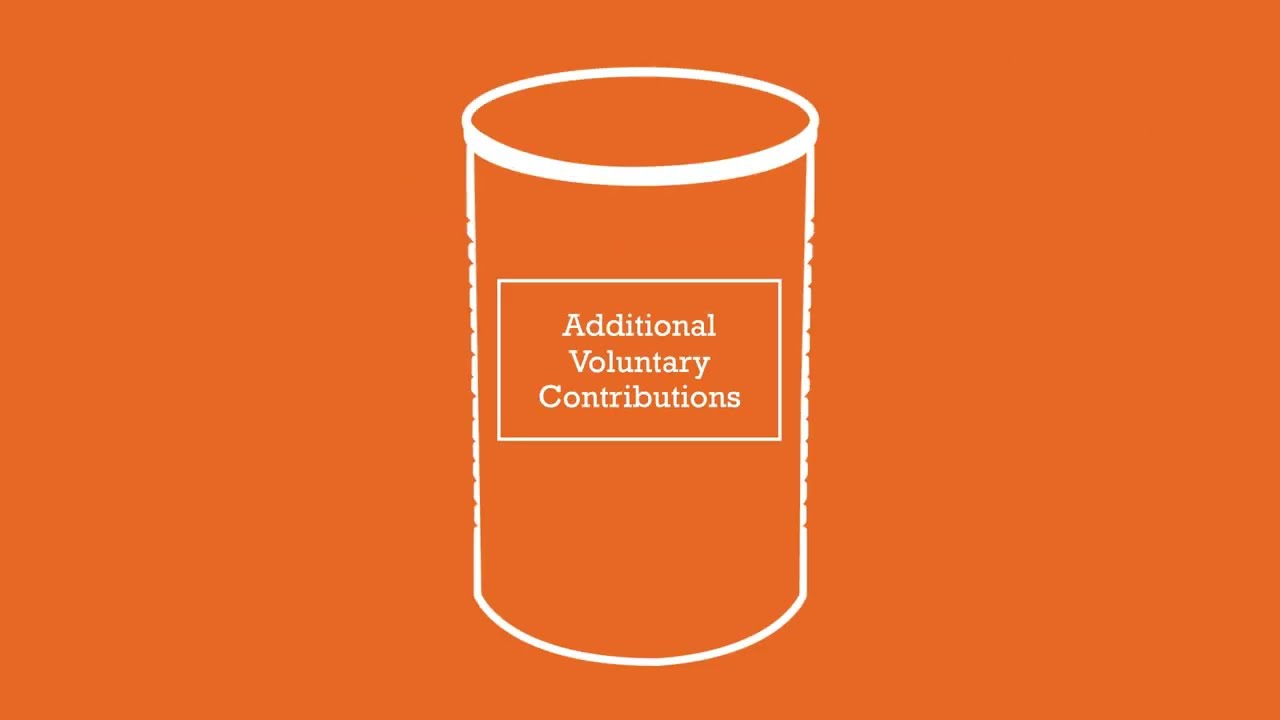 What are Additional Voluntary Contributions (AVCs)?