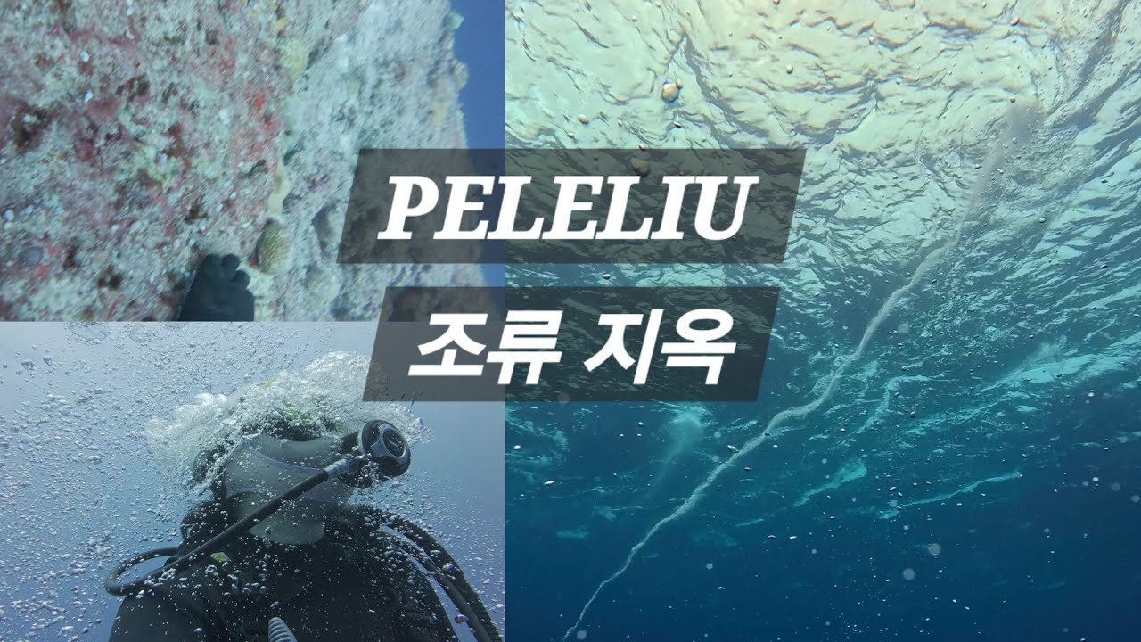 🇵🇼[팔라우 신들의정원] 페릴리우 다이빙 중 조류에 쓸려갔습니다... 바다에 토네이도가..?? 죽음의 문턱에서 살아 돌아온 후기 (EP. 03)