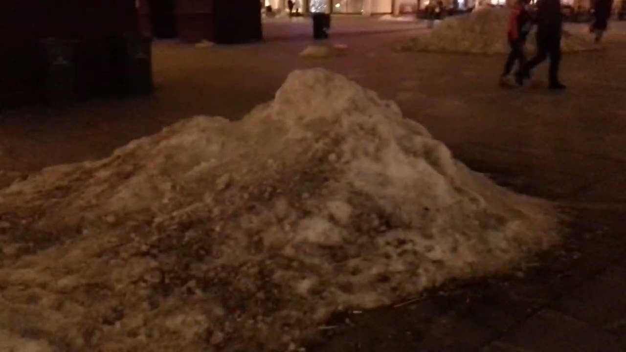 Trg Republike i jelka 19 jan