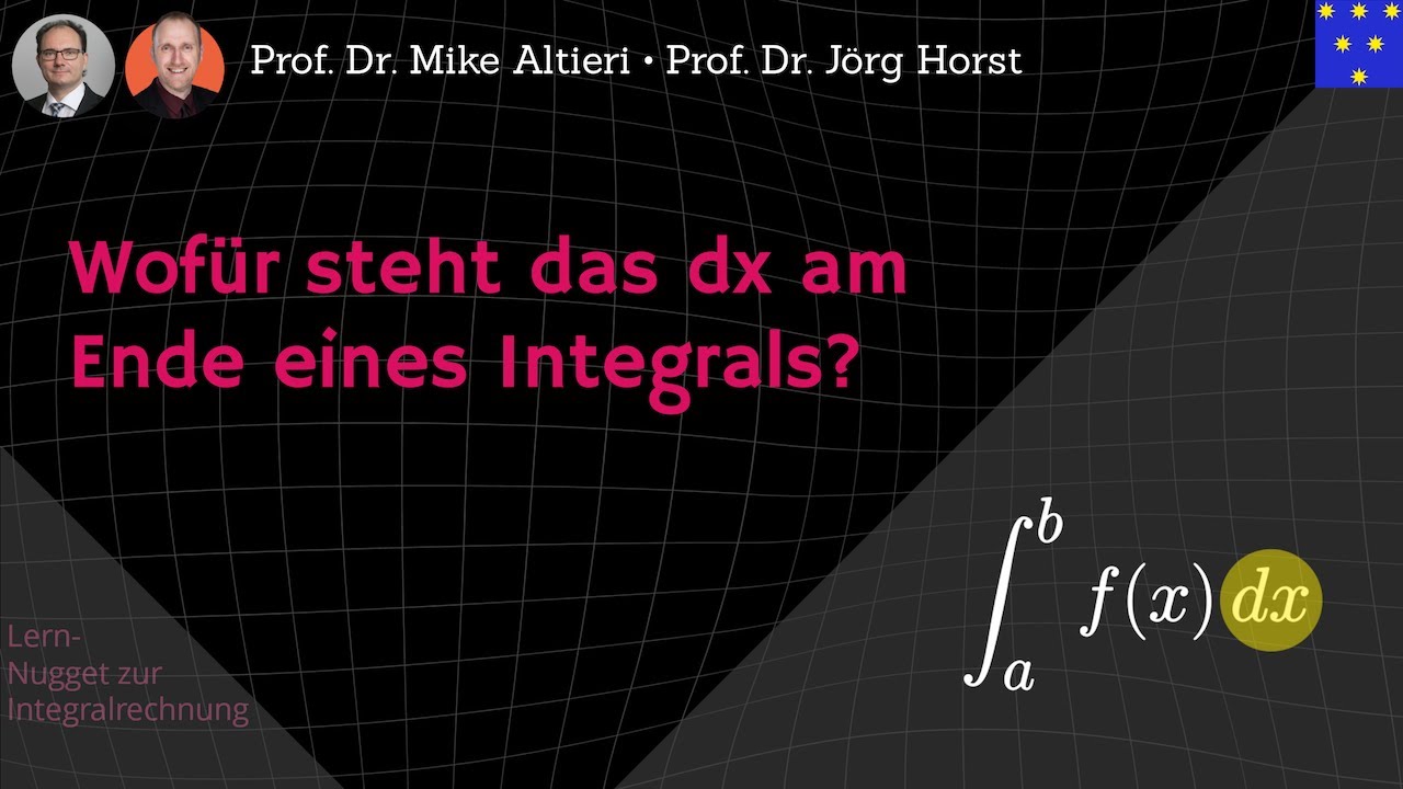 Wof&uuml;r steht das dx am Ende des Integrals?