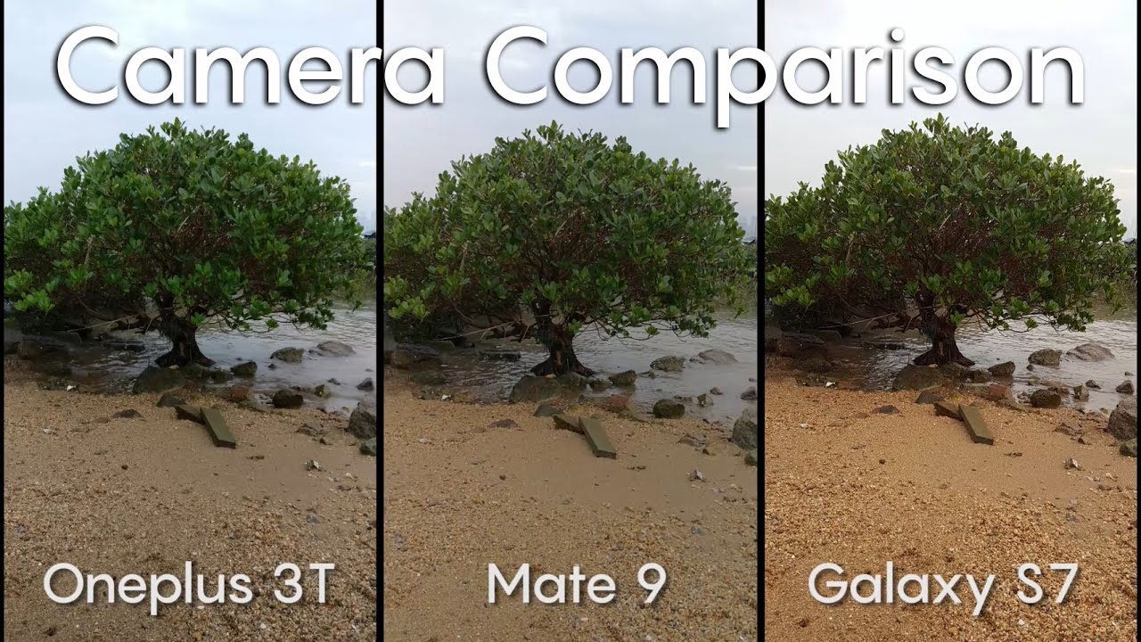 Oneplus 3T vs Huawei Mate 9 vs Galaxy S7 - Camera Battle!