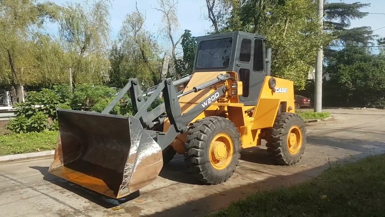 CARGADORA CASE W20D