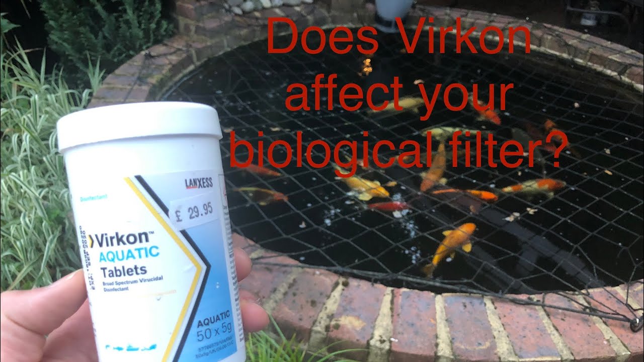 Does Virkon affect your biological filter?