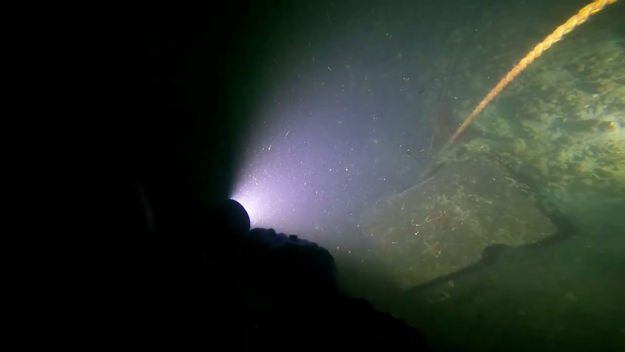 Dive 104