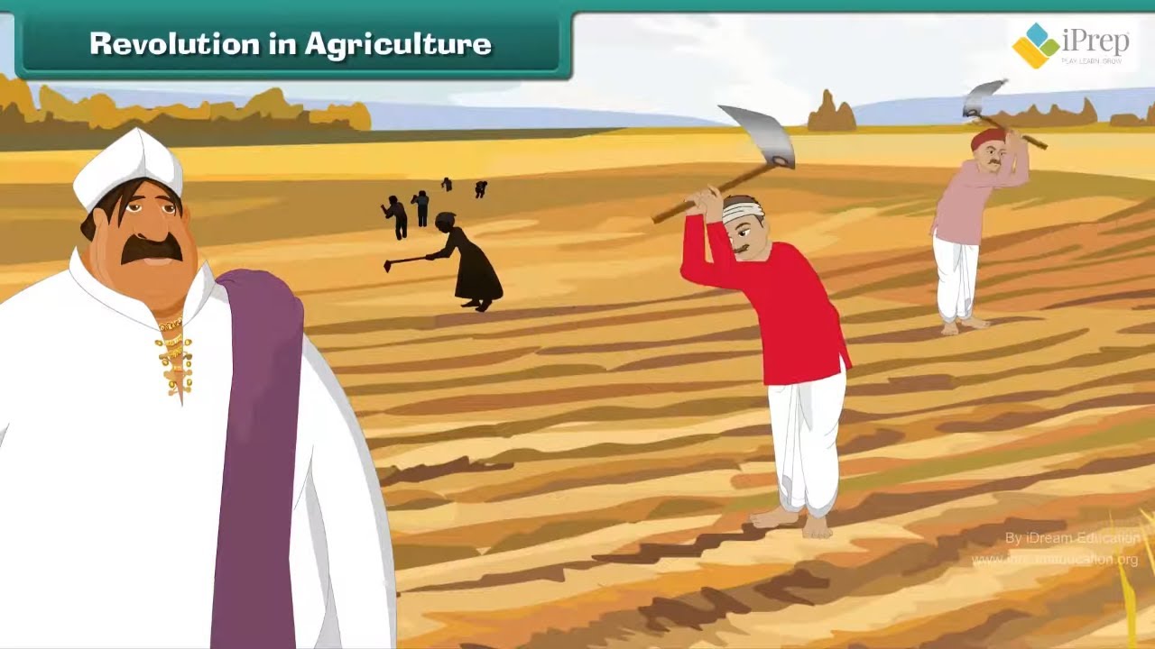 Class 5 EVS Chapter - 19 