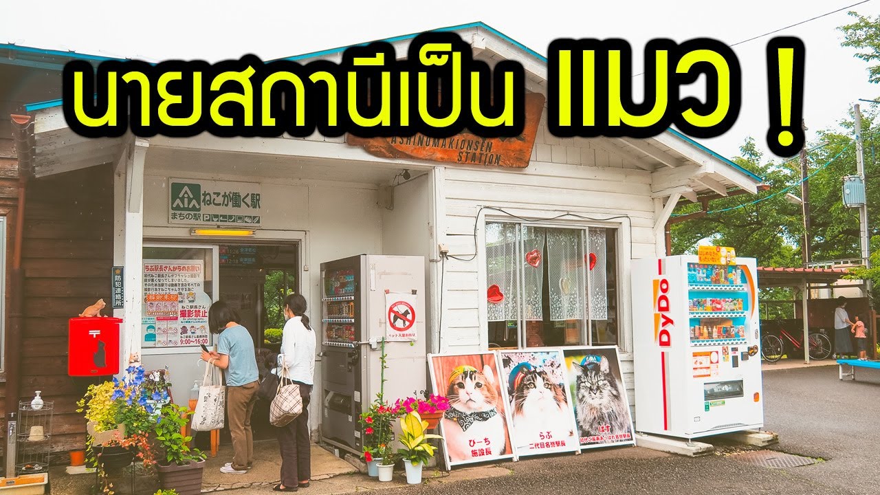 นายสถานีแมวเหมียว แห่งฟุกุชิมะ Ashinomaki Onsen Fukushima Cat station