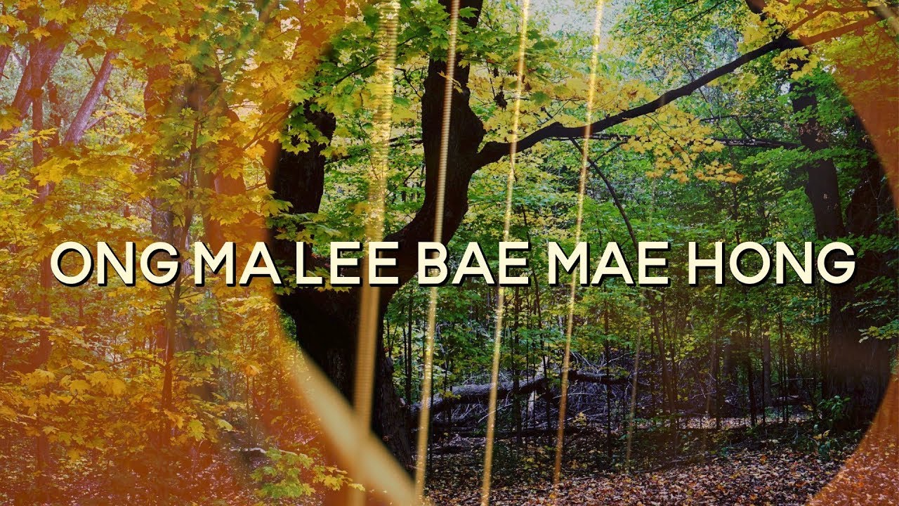 The Six Word Chant | Ong Ma Lee Bae Mae Hong