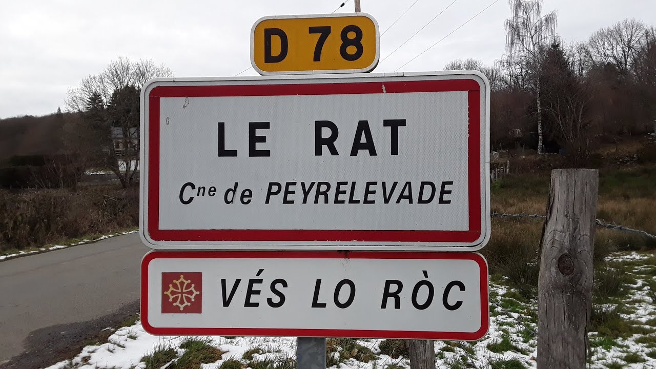 Le Rat Peyrelevade Corrèze