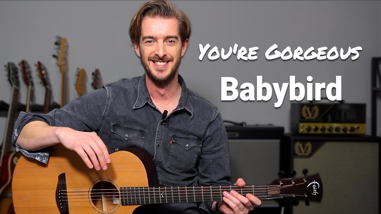 'You're Gorgeous' - easy 2 chord songs on guitar