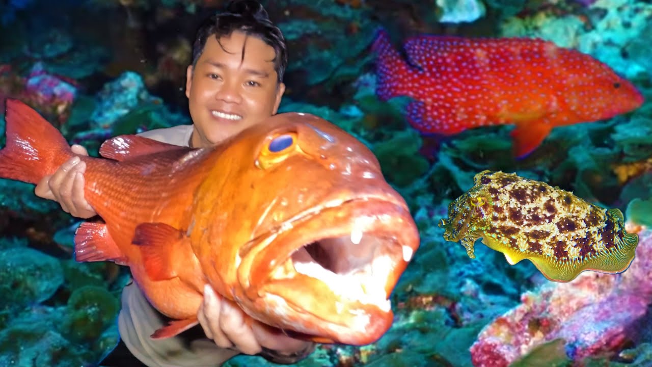 Lặn Biển Trường Sa | Thợ Lặn Phát Hiện Nhiều Cá To Trong Hang Đá