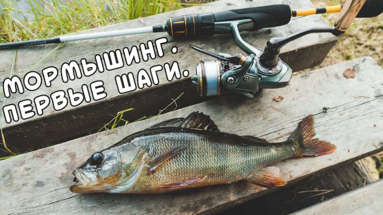 МОРМЫШИНГ. ПЕРВЫЕ ШАГИ. Мормышинг РУЛИТ!
