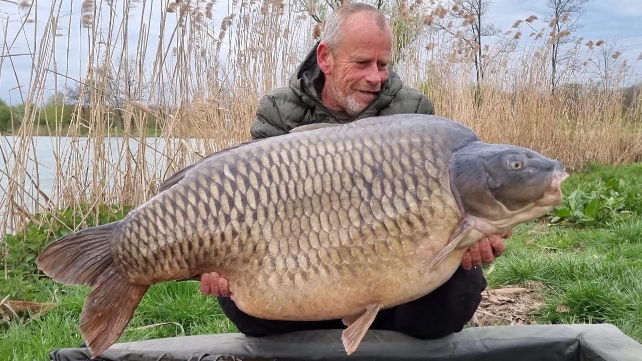 Sumbar Lake Croatia, Carp Fishing April 2022