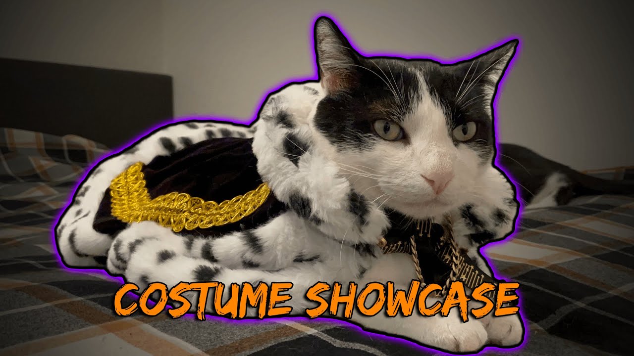 Catoween Special