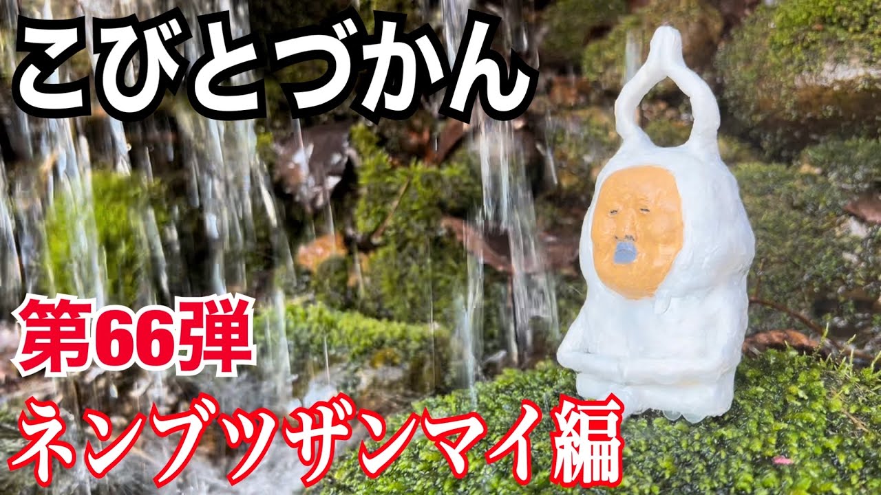 【こびとづかん】ネンブツザンマイ見つけるまで帰れま10！！！