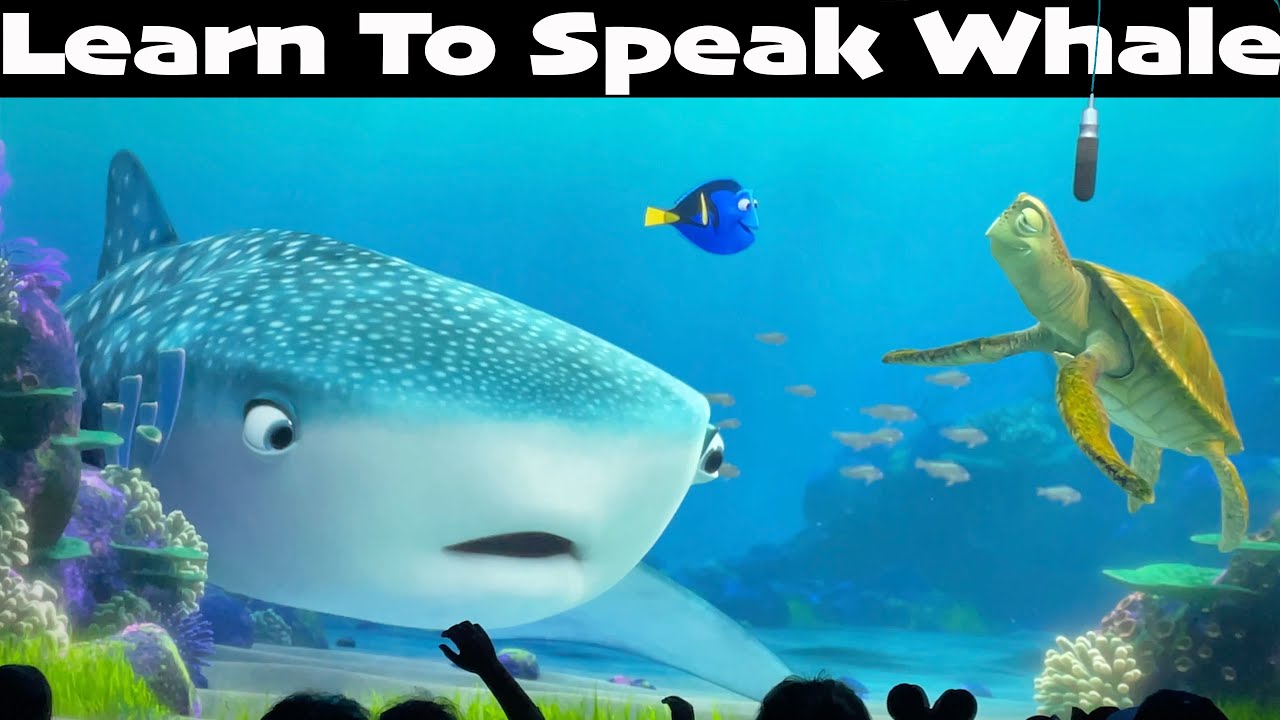 Turtle Talk With Crush | How To Speak Whale With Dory | Disney California Adventure [FULL SHOW]
