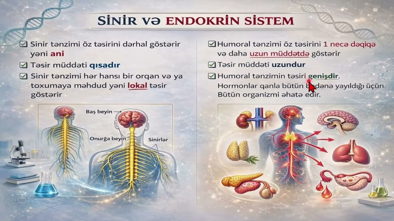 #biologiya#  VƏZİLƏR