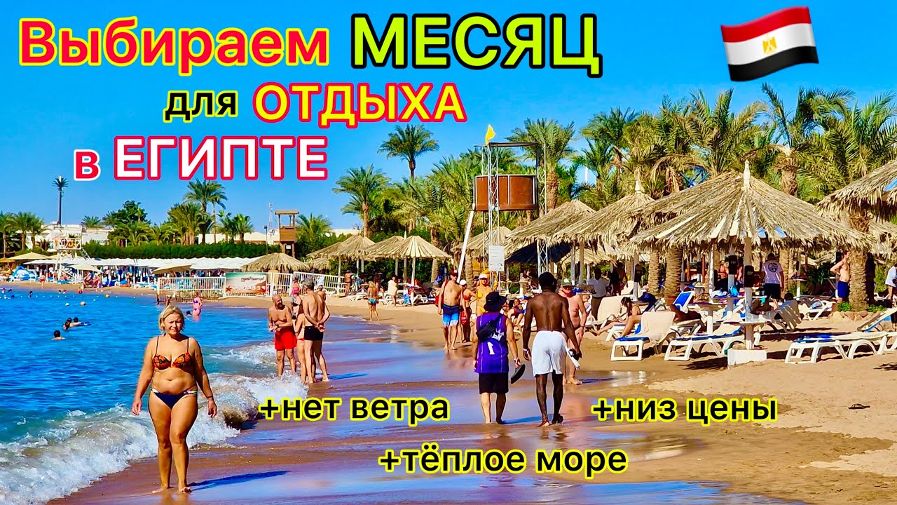 ЛУЧШИЙ месяц для ОТДЫХА в Египте 🇪🇬⁉️ НИЗКАЯ ЦЕНА, тёплое МОРЕ. Когда НАДО лететь в Египет!