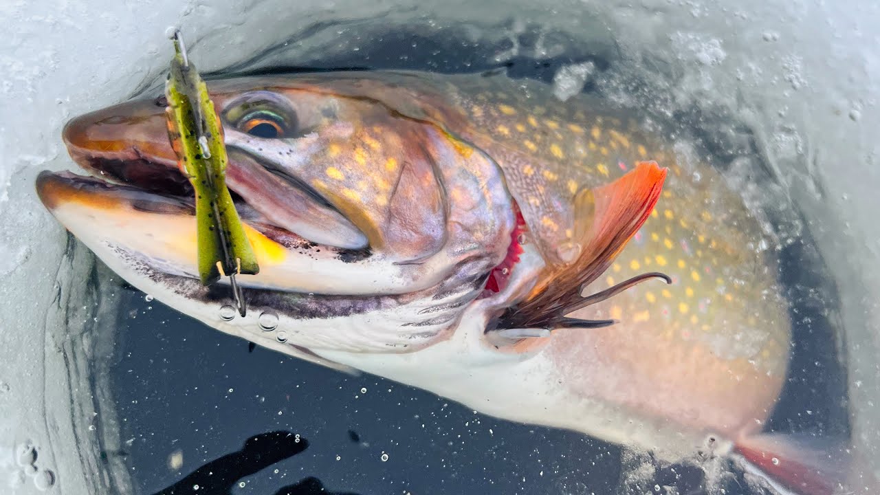 Best Ice Fishing Lures for Brook Trout