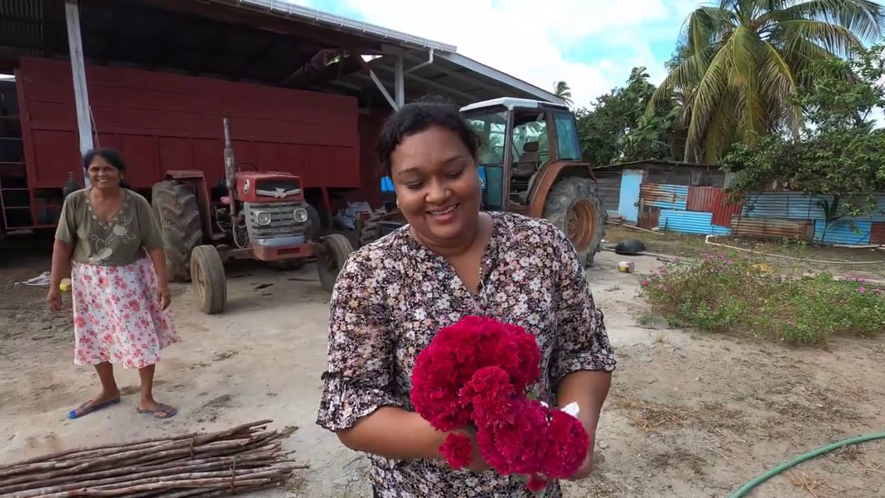 BLACK BUSH POLDER GUYANA  #ROADTRIP