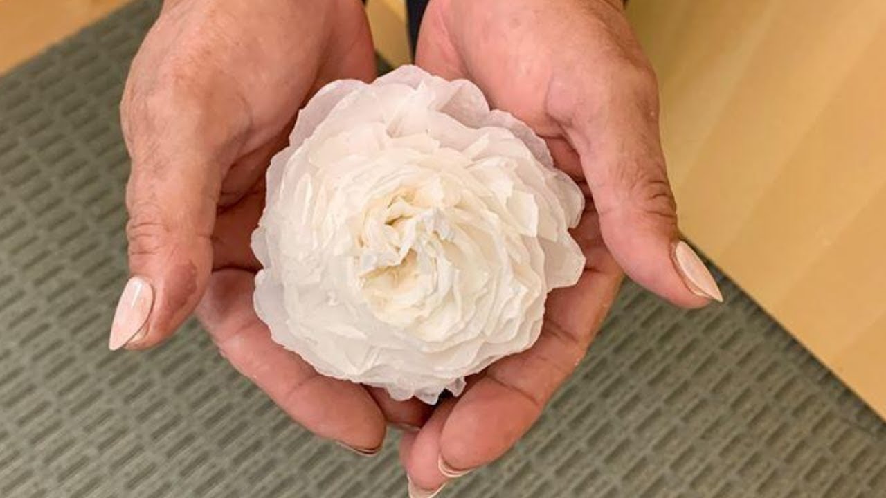 Crafty Wednesdays - Coffee Filter Carnation
