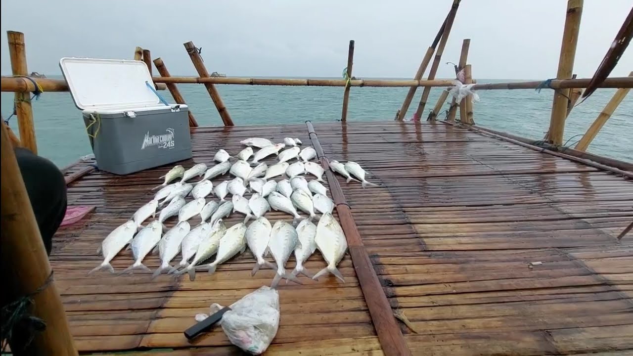 Mancing bagan Tanjung Kait || bagan G230 punya bang popaye