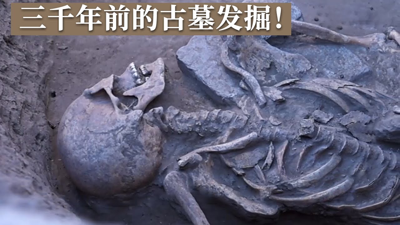 掩埋三千多年的古墓 考古现场疑似出现祭祀现象 探方发掘宛若开盲盒！《探索&middot;发现》2023敖汉考古纪实 丨 中华国宝