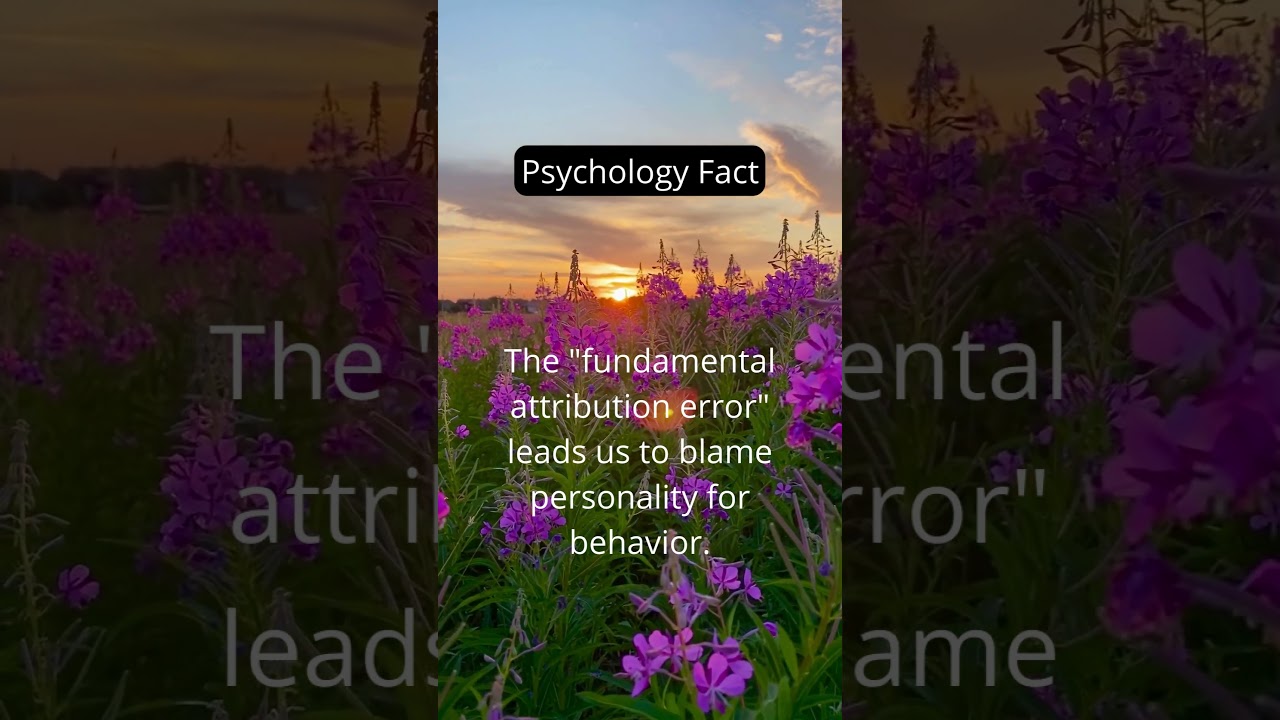 The attribution error 