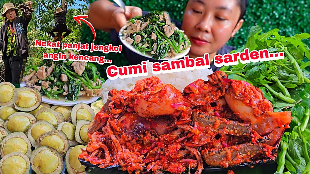 NEKAT PANJAT POHON JENGKOL ANGIN KENCANG ,SAMBAL CUMI SARDEN TUMIS SELADA LALAPAN